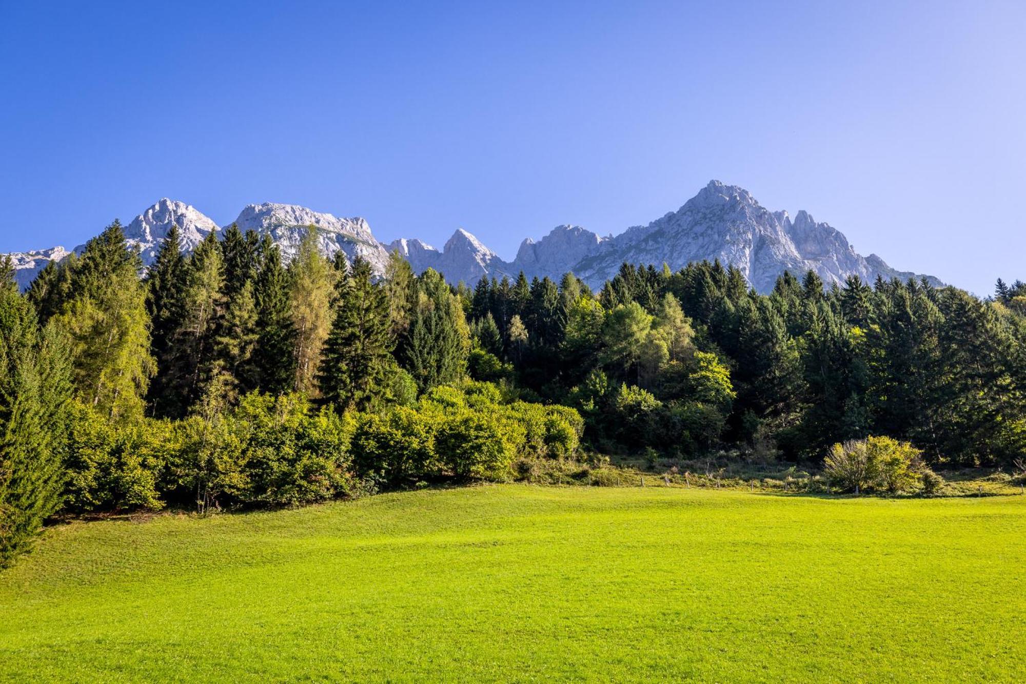 Der Burgblick-Adults Only Hotel Werfen Buitenkant foto