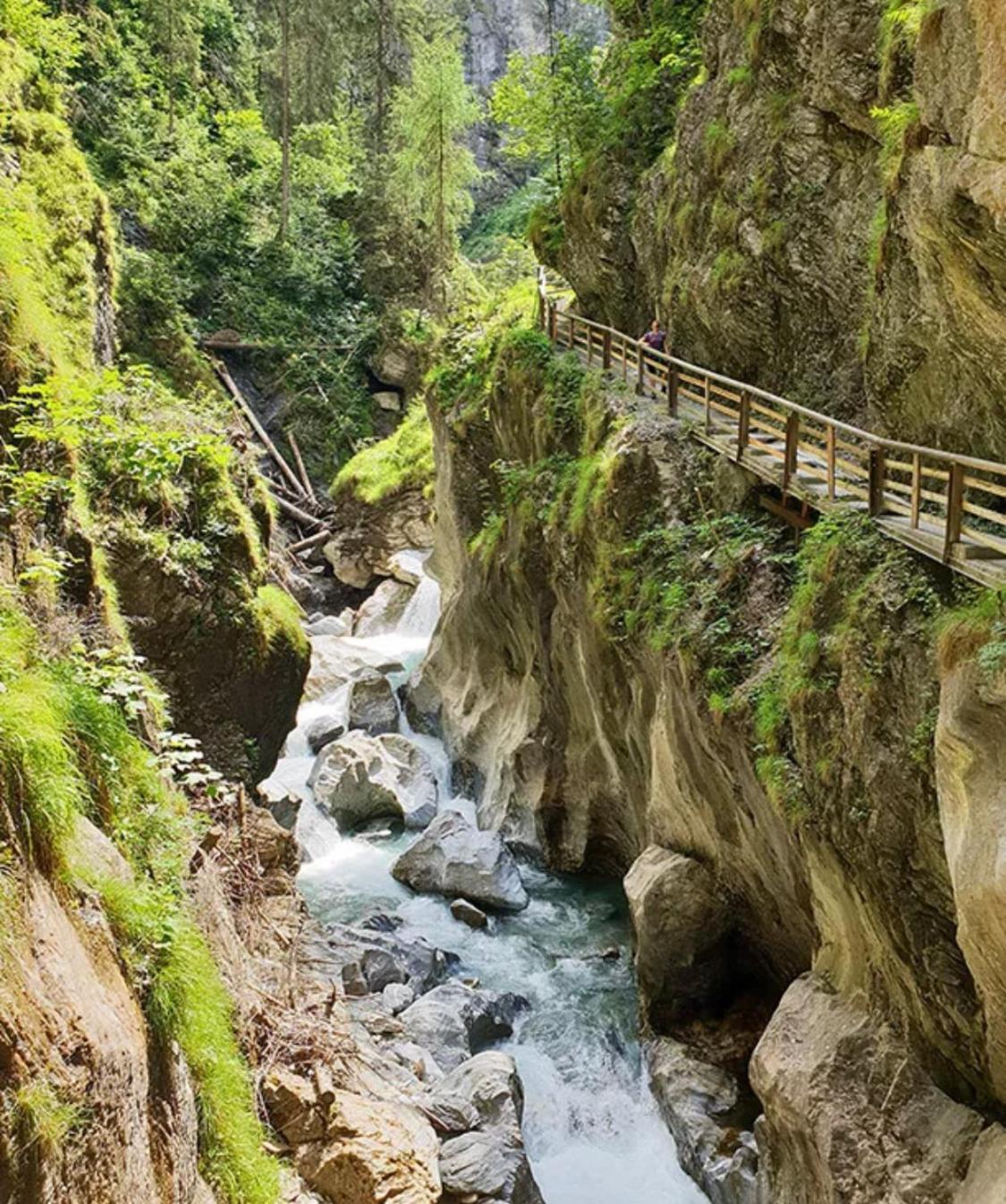 Der Burgblick-Adults Only Hotel Werfen Buitenkant foto